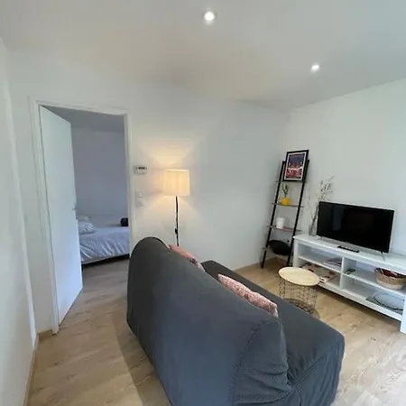 Quartier Calme : T2 Plain Pied Avec Son Jardin Argelès-Gazost