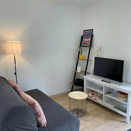 Apartmán Quartier Calme : T2 Plain Pied Avec Son Jardin Argelès-Gazost