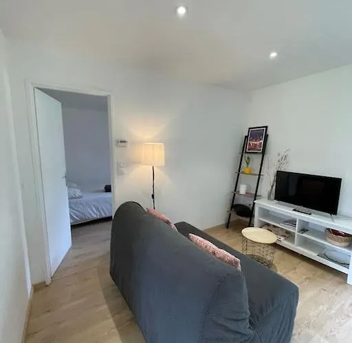 Quartier Calme : T2 Plain Pied Avec Son Jardin Argelès-Gazost