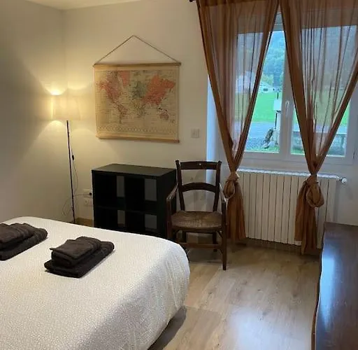 Quartier Calme : T2 Plain Pied Avec Son Jardin * Argelès-Gazost