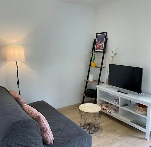 Apartmán Quartier Calme : T2 Plain Pied Avec Son Jardin Argelès-Gazost