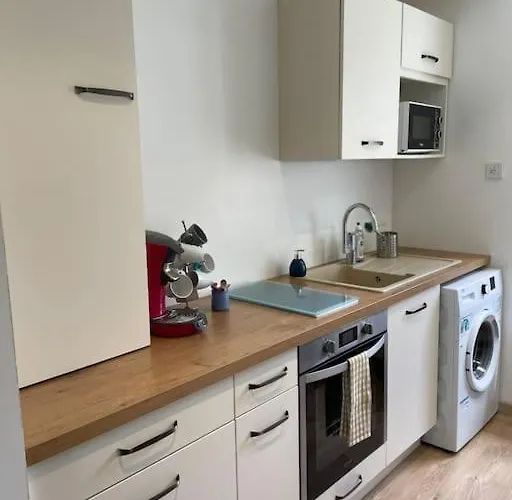 Quartier Calme : T2 Plain Pied Avec Son Jardin